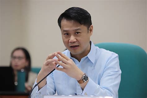 pagcor license verification|Gatchalian slams PAGCOR for providing provisional licenses to .